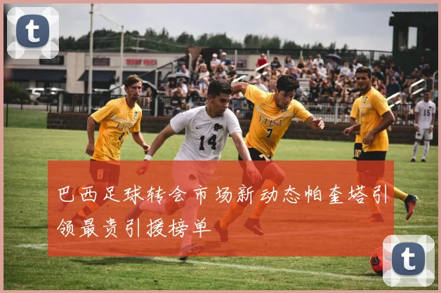 巴西足球转会市场新动态帕奎塔引领最贵引援榜单