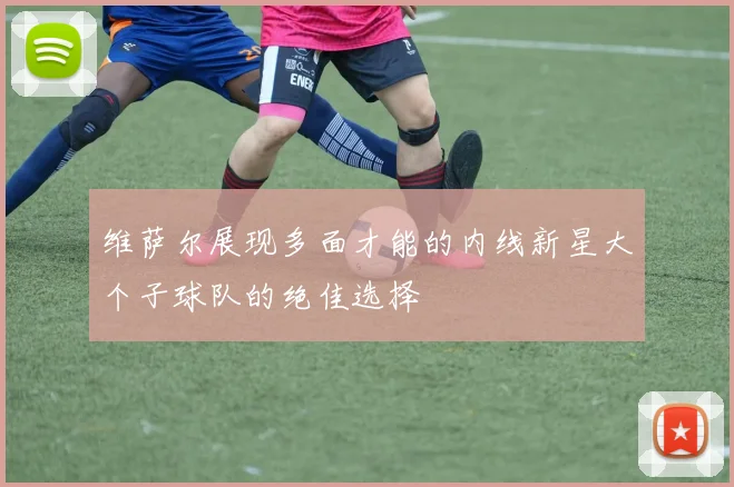 维萨尔展现多面才能的内线新星大个子球队的绝佳选择